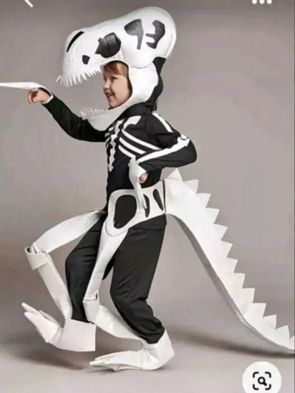 Dinosaur Costume in Black & White